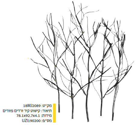 קישוט קיר זרדים פזורים מקט : 18MJ2089