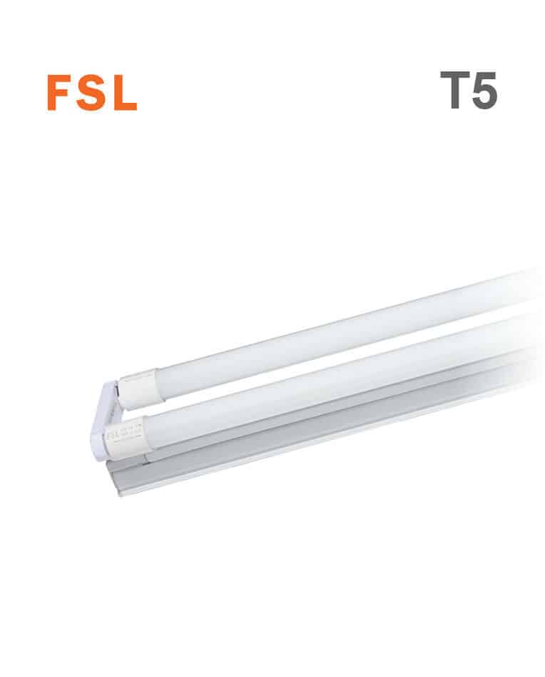 פס אמריקאי T5 2X22W