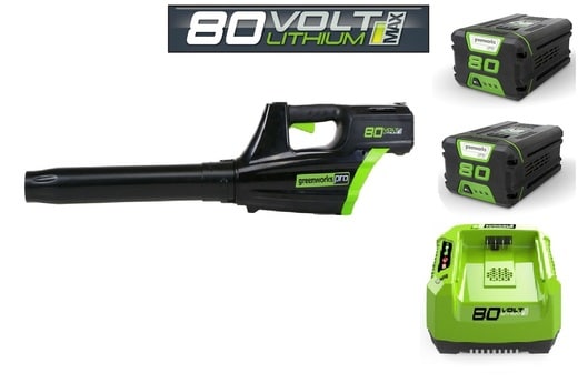 ‏מפוח עלים 99552/2 Greenworks+2 סוללות 2.0AH+מטען מהיר